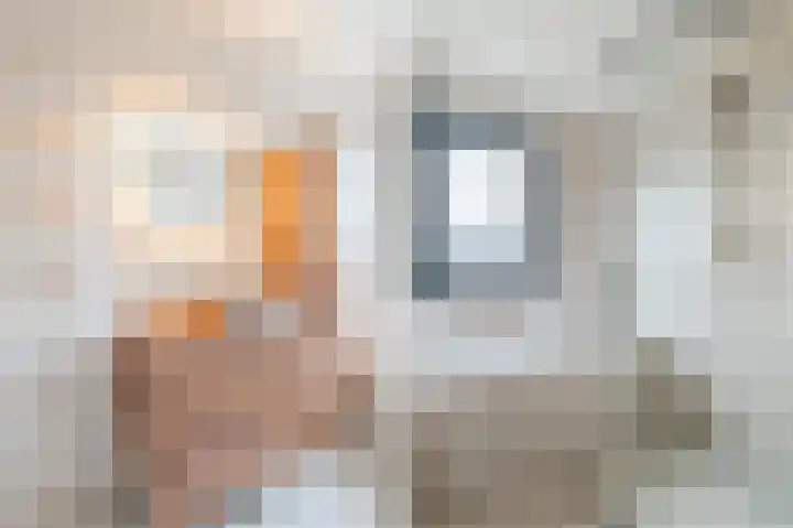 Rosmolen 7 Zwolle thumbnail 4