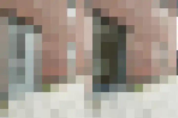 Rosmolen 7 Zwolle thumbnail 8
