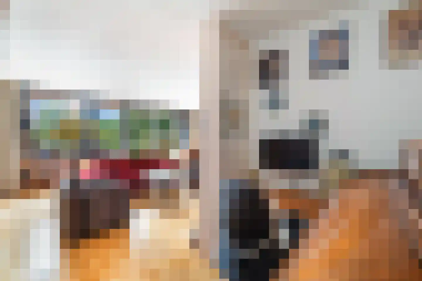 Rosmolen 70 Leiden thumbnail 20