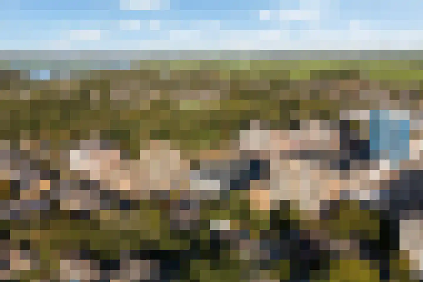 Rosmolen 70 Leiden thumbnail 4
