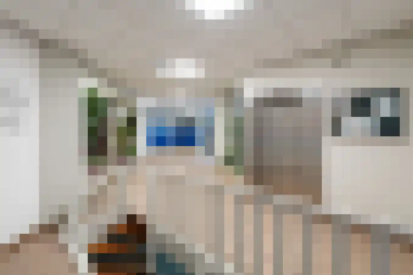 Rosmolen 70 Leiden thumbnail 8
