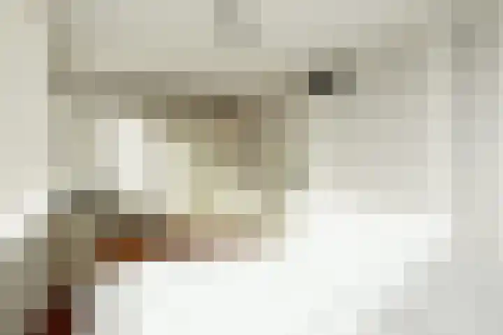 Rosmolen 71 Ridderkerk thumbnail 18