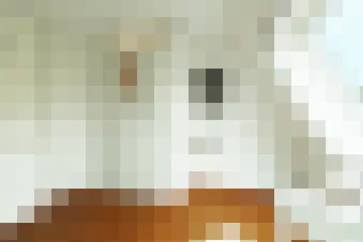 Rosmolen 71 Ridderkerk thumbnail 27