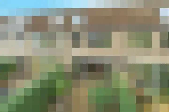 Rosmolen 71 Ridderkerk thumbnail 29