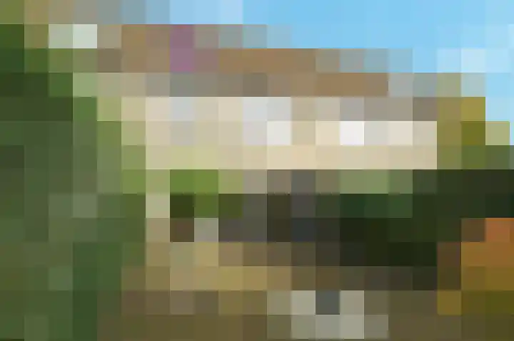 Rosmolen 71 Ridderkerk thumbnail 30