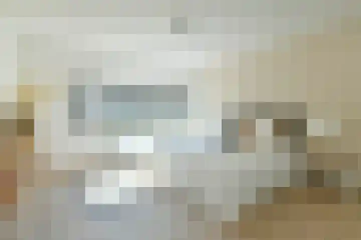 Rosmolen 71 Ridderkerk thumbnail 33
