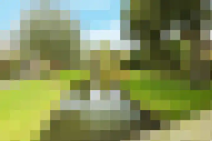 Rosmolen 71 Ridderkerk thumbnail 5