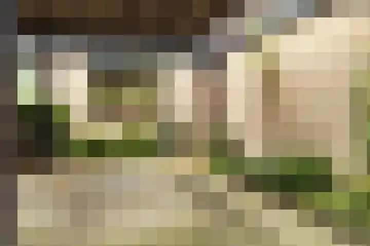Rosmolen 71 Ridderkerk thumbnail 7