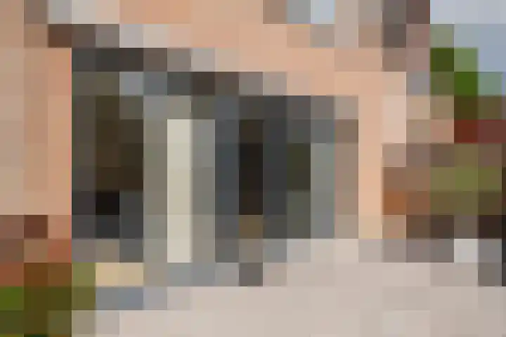 Rosmolen 74 Ridderkerk thumbnail 10