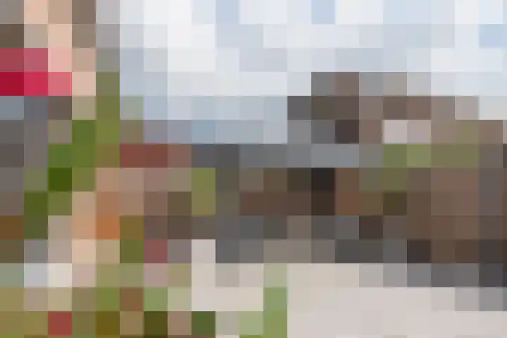 Rosmolen 74 Ridderkerk thumbnail 12