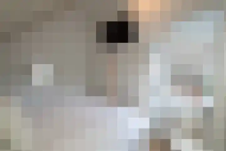 Rosmolen 74 Ridderkerk thumbnail 16
