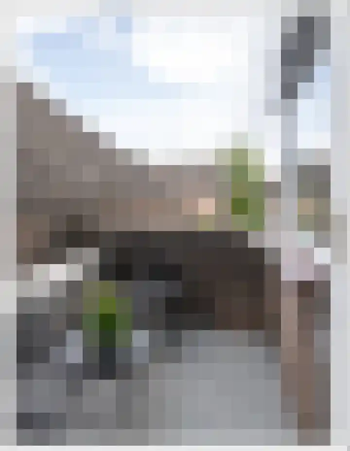 Rosmolen 74 Ridderkerk thumbnail 17