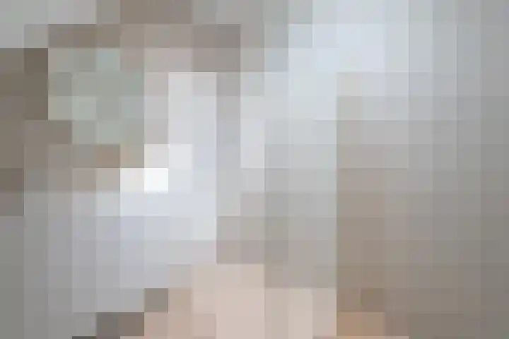 Rosmolen 74 Ridderkerk thumbnail 19