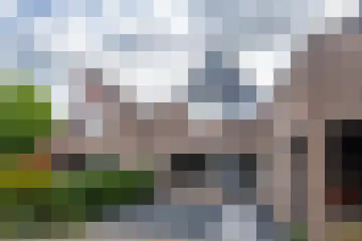 Rosmolen 74 Ridderkerk thumbnail 26