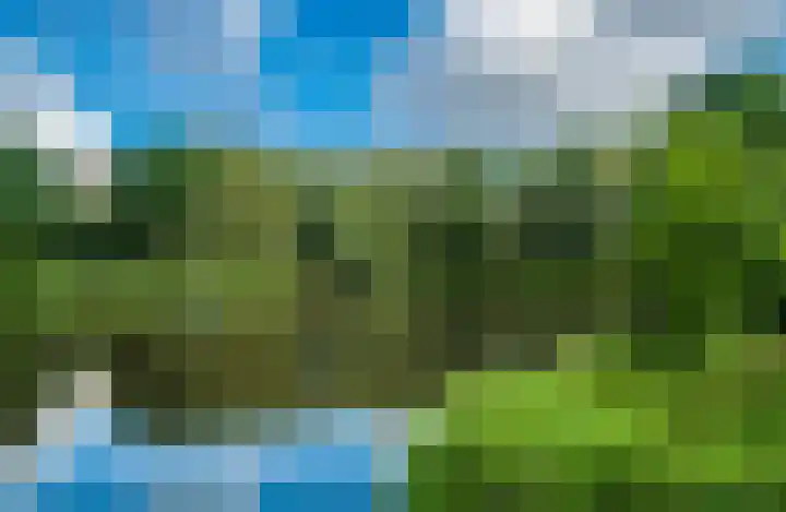 Rosmolen 74 Ridderkerk thumbnail 31