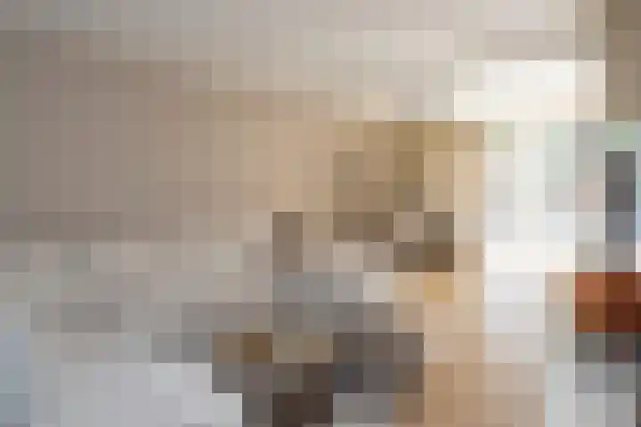 Rosmolen 74 Ridderkerk thumbnail 6