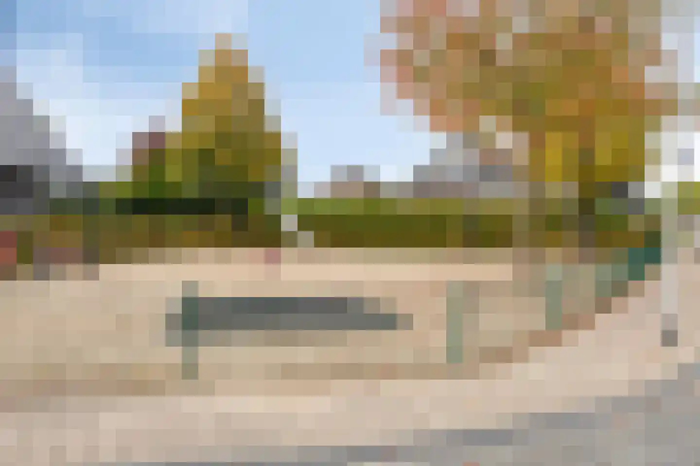 Rosmolen 8 de Lutte thumbnail 39