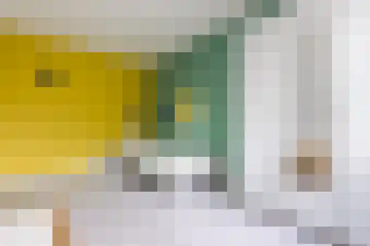 Rosmolen 81 Heerhugowaard thumbnail 21