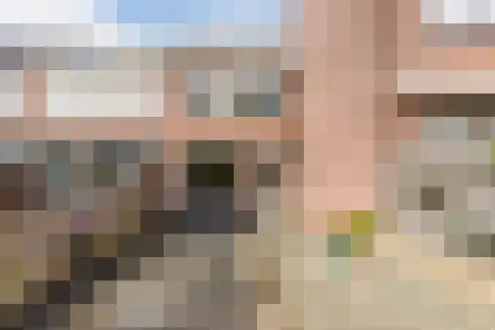 Rosmolen 81 Heerhugowaard thumbnail 33