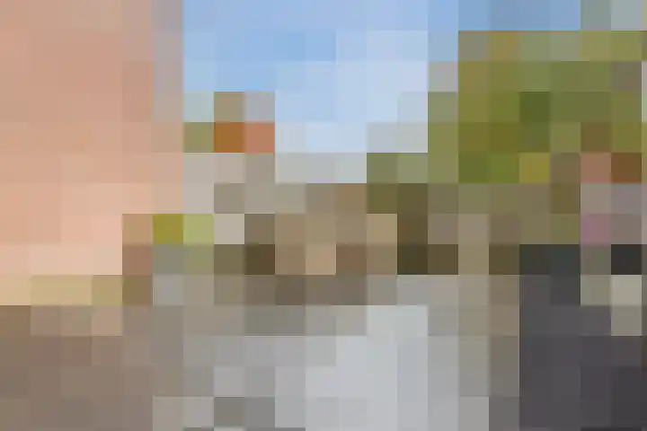 Rosmolen 81 Heerhugowaard thumbnail 36