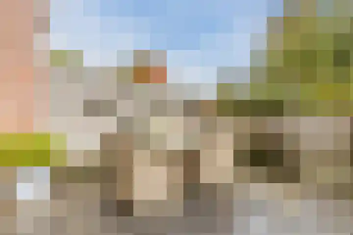 Rosmolen 81 Heerhugowaard thumbnail 37