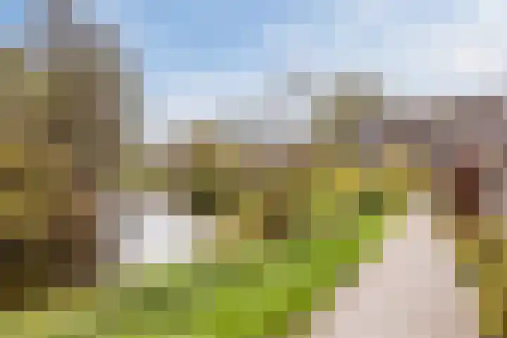 Rosmolen 81 Heerhugowaard thumbnail 38