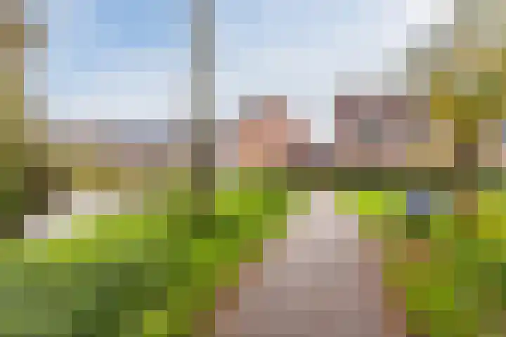 Rosmolen 81 Heerhugowaard thumbnail 39