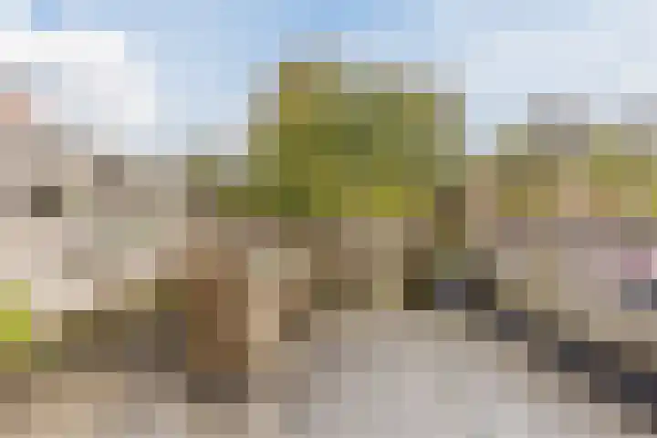 Rosmolen 81 Heerhugowaard thumbnail 4