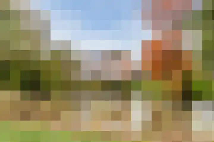 Rosmolen 81 Heerhugowaard thumbnail 41