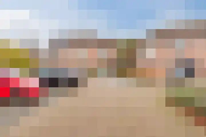 Rosmolen 81 Heerhugowaard thumbnail 45