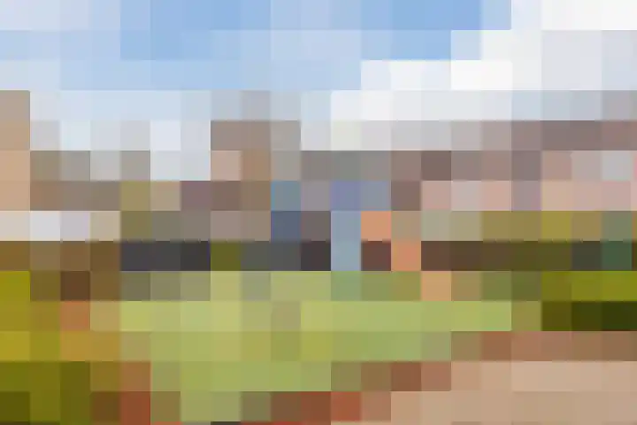 Rosmolen 81 Heerhugowaard thumbnail 46