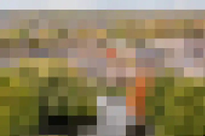 Rosmolen 81 Heerhugowaard thumbnail 49