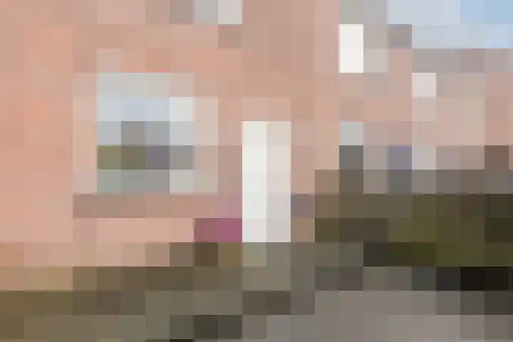 Rosmolen 81 Heerhugowaard thumbnail 5
