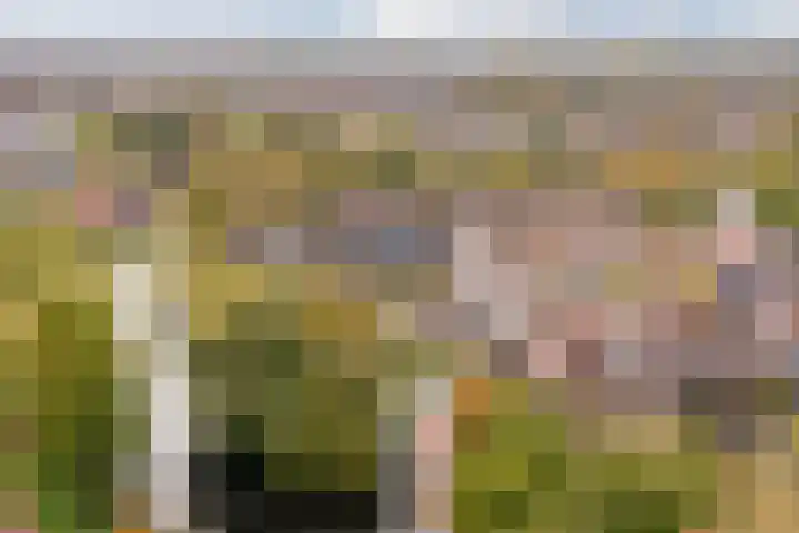 Rosmolen 81 Heerhugowaard thumbnail 52