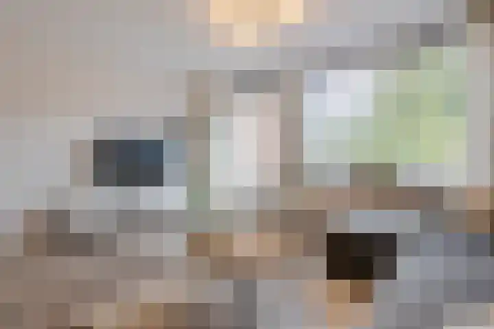 Rosmolen 81 Heerhugowaard thumbnail 7