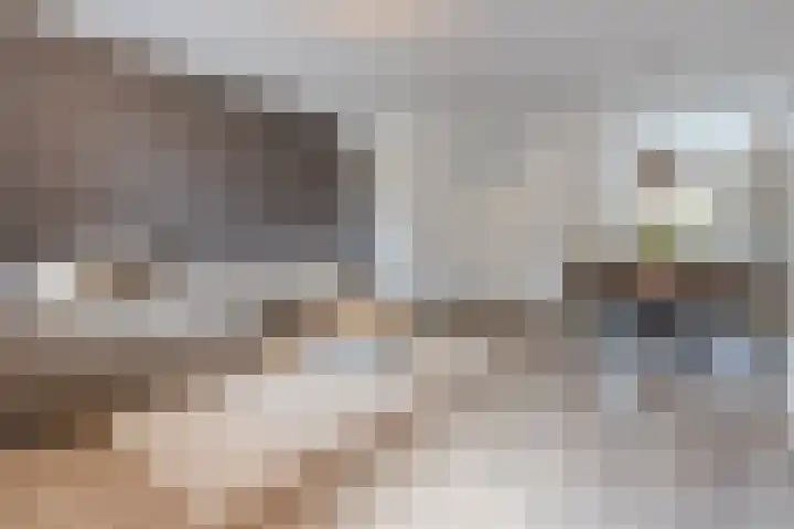 Rosmolen 81 Heerhugowaard thumbnail 8
