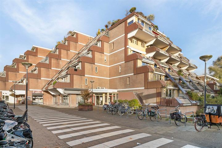 Rosmolen 98 in Leiden Foto