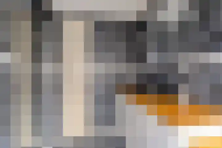 Rosmolenplein 11 Tilburg thumbnail 10