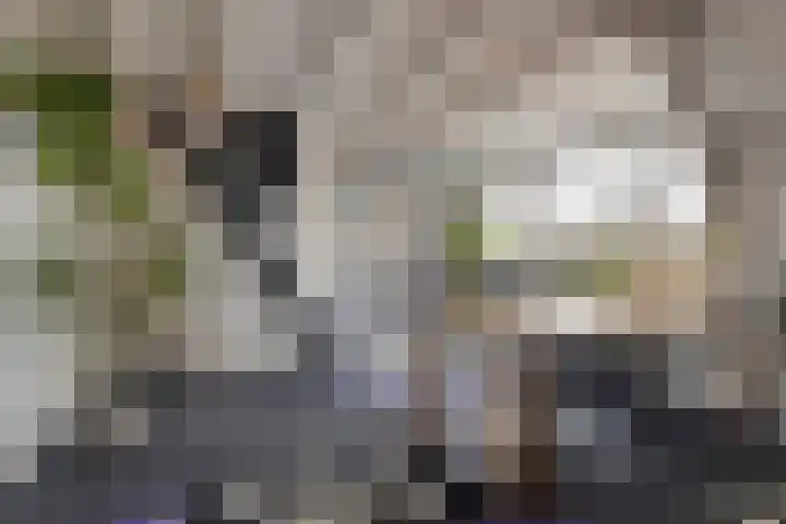 Rosmolenplein 11 Tilburg thumbnail 14