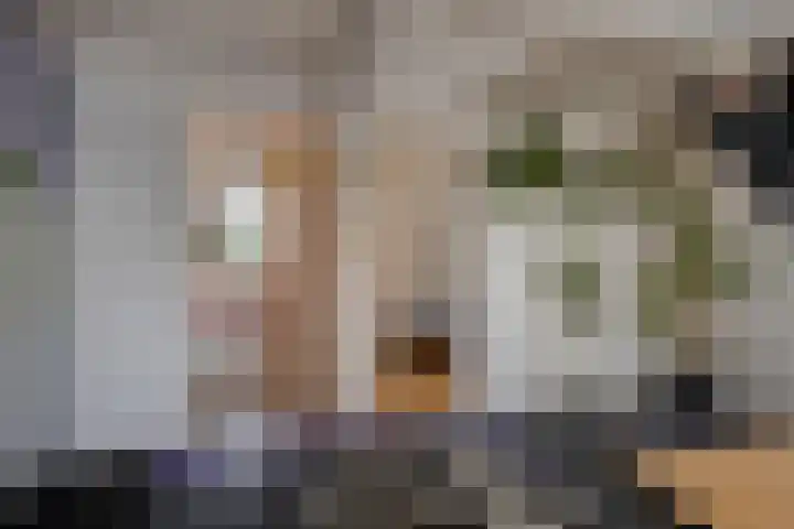 Rosmolenplein 11 Tilburg thumbnail 16
