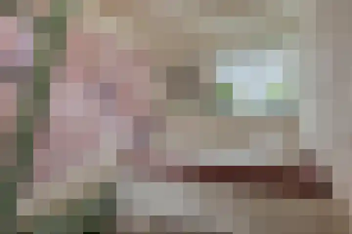 Rosmolenplein 11 Tilburg thumbnail 20