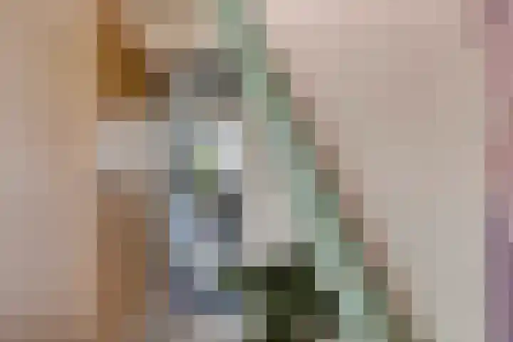 Rosmolenplein 11 Tilburg thumbnail 21