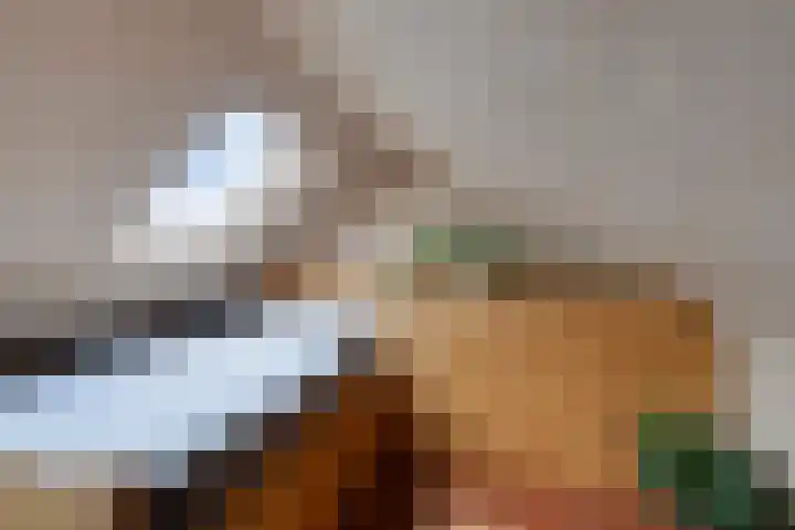 Rosmolenplein 11 Tilburg thumbnail 24