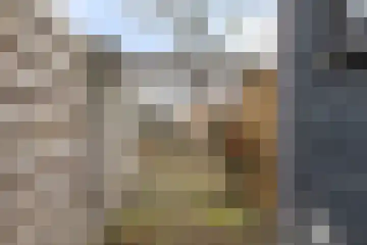 Rosmolenplein 11 Tilburg thumbnail 27