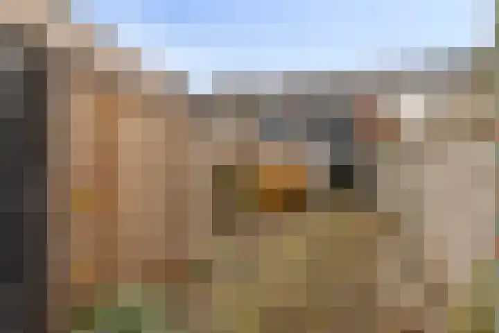 Rosmolenplein 11 Tilburg thumbnail 33