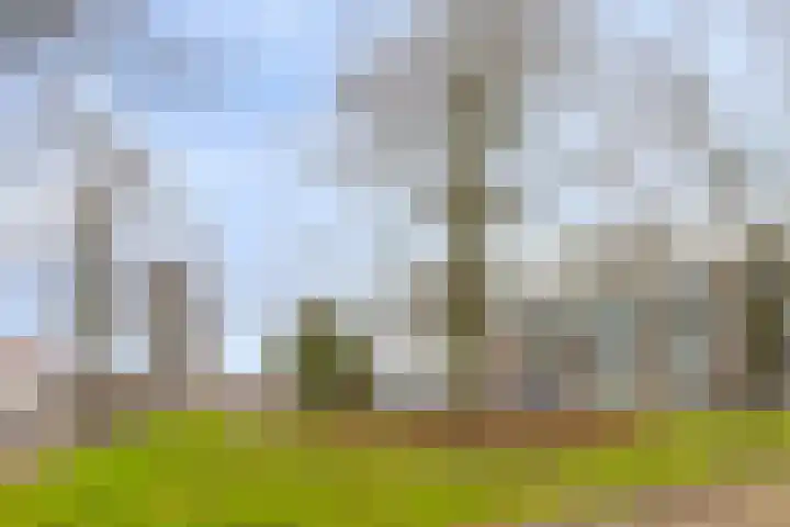 Rosmolenplein 11 Tilburg thumbnail 36