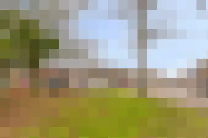 Rosmolenplein 11 Tilburg thumbnail 37