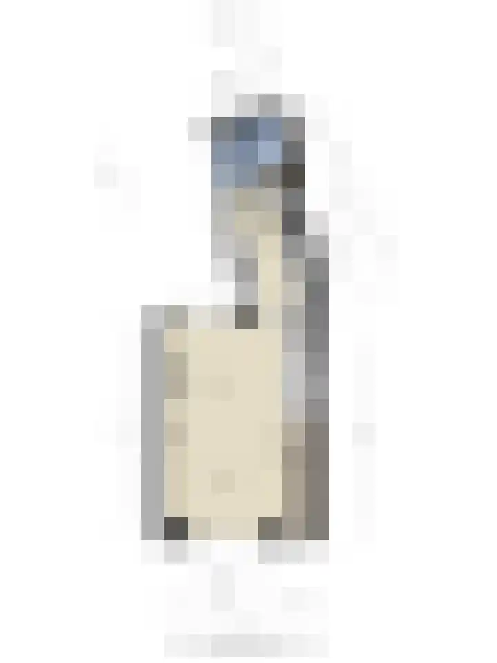 Rosmolenplein 11 Tilburg thumbnail 38
