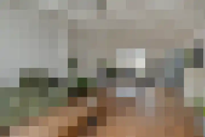 Rosmolenplein 11 Tilburg thumbnail 4