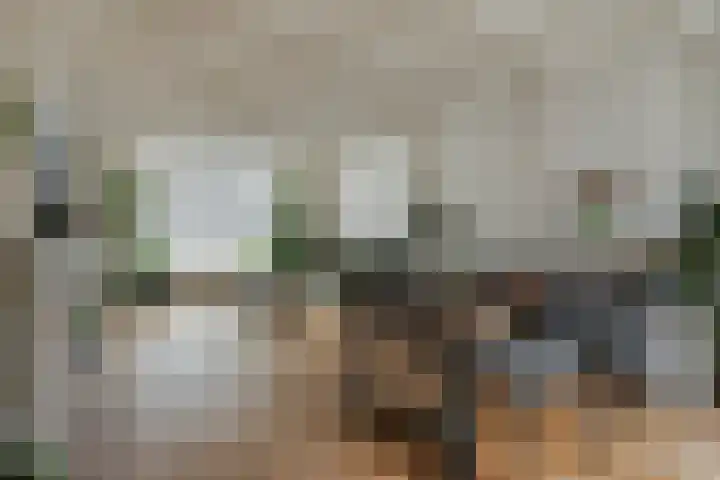 Rosmolenplein 11 Tilburg thumbnail 6